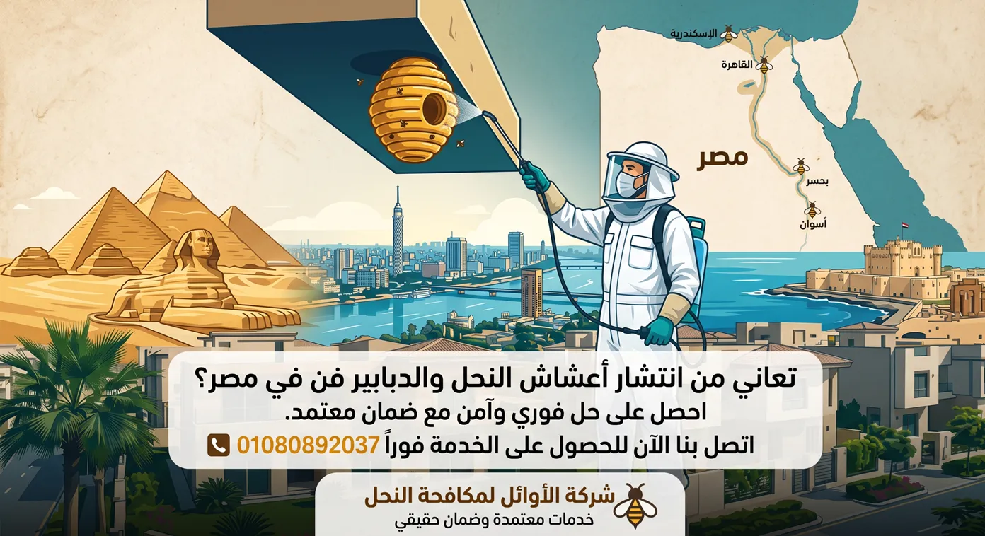 شركة مكافحة النحل في مصر لإزالة الأعشاش والطرود باحترافية