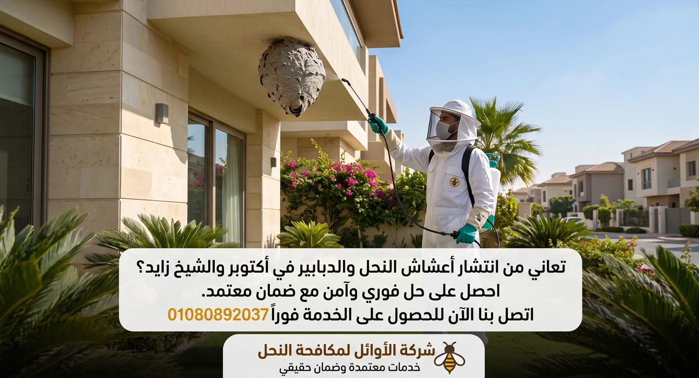 شركة مكافحة نحل في أكتوبر متخصصة في نقل الخلايا وإزالة الدبابير